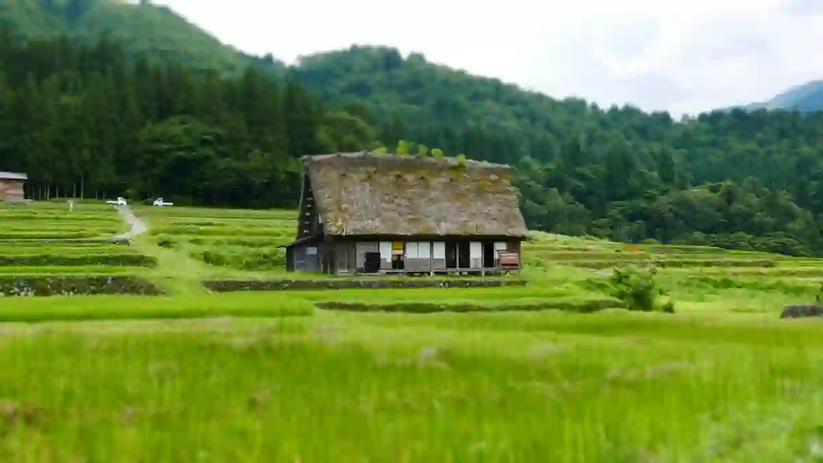 A traditional wooden house in a green countryside field