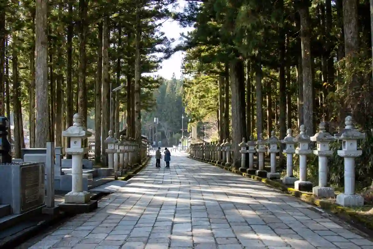 A tree-lined path through the forest at Koyasan